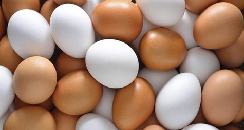 নানা কর্মসূচিতে পালিত হচ্ছে বিশ্ব ডিম দিবস