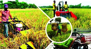 কৃষিতে প্রযুক্তি ব্যবহারে বাড়ছে খাদ্য উৎপাদন