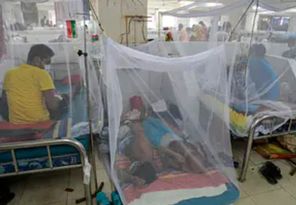 ডেঙ্গুতে এক দিনে রোগী শনাক্ত হাজার পার