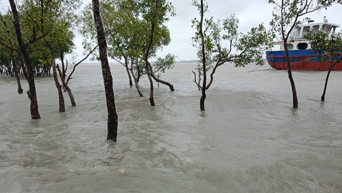 সাতক্ষীরায় টানা বৃষ্টি : উপকুলীয় এলাকায় আশ্রয় কেন্দ্রে নিতে মাইকিং