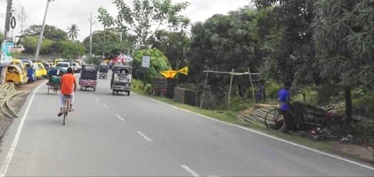 সিত্রাং এর প্রভাব ফরিদপুরে গাছ উপড়ে বন্ধ থাকা মহাসড়কে যান চলাচল শুরু