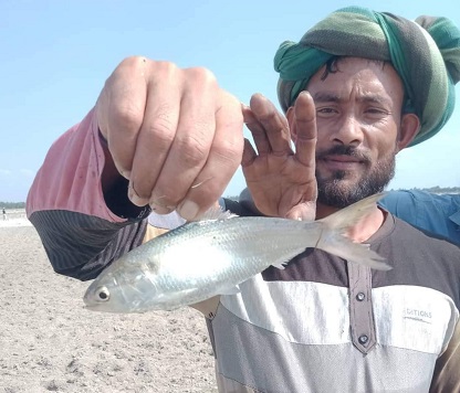 আবারও তিস্তায় জেলের জালে ধরা পড়ল রুপালী ইলিশ