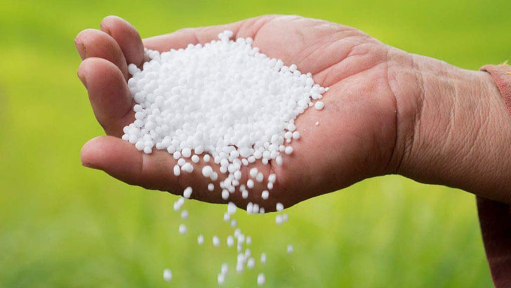 ব্যাংকে ডলার সংকট, বিদেশ থেকে সার আমদানি ব্যাহত হওয়ার আশঙ্কা