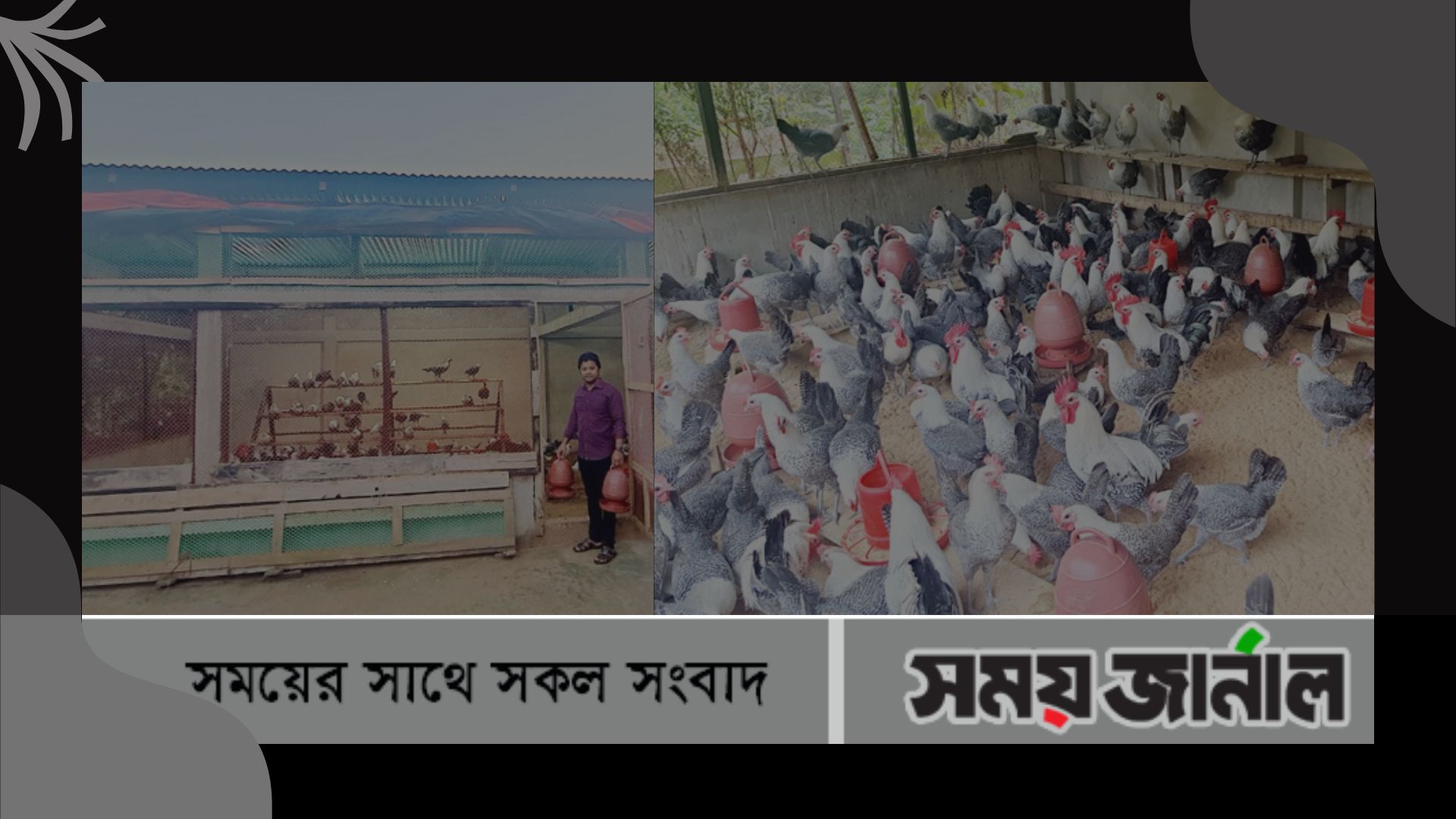 বাড়ির ছাদে মুরগির খামার করে সফল মাস্টার্স পরীক্ষার্থী এস ডি শান্ত