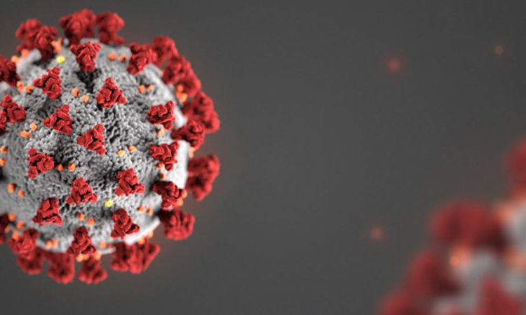 বিশ্বে মৃত্যু বেড়েছে সাড়ে ৫শ, শনাক্ত পৌনে ৩ লাখ