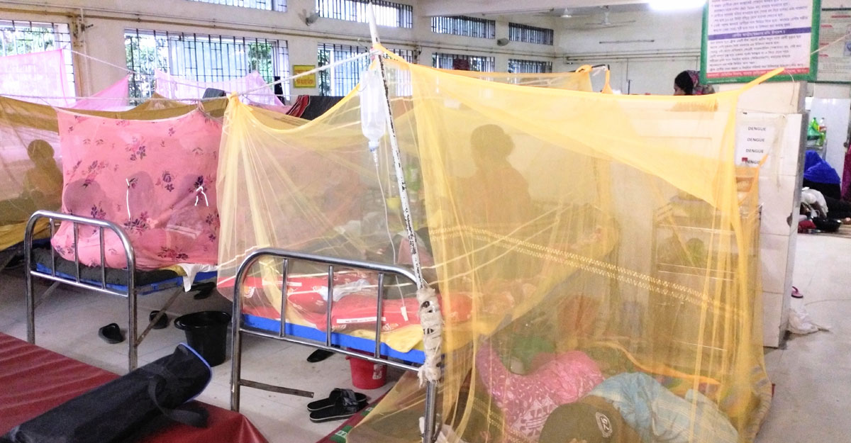 ডেঙ্গুতে আরও ৪ মৃত্যু, হাসপাতালে ৬০৬
