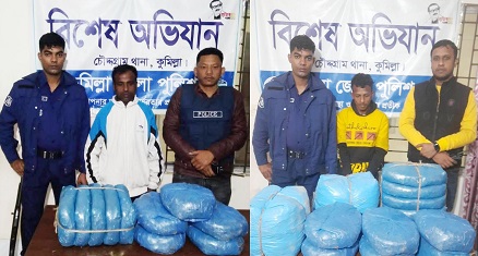 চৌদ্দগ্রামে গাঁজাসহ দুই ভাই গ্রেপ্তার