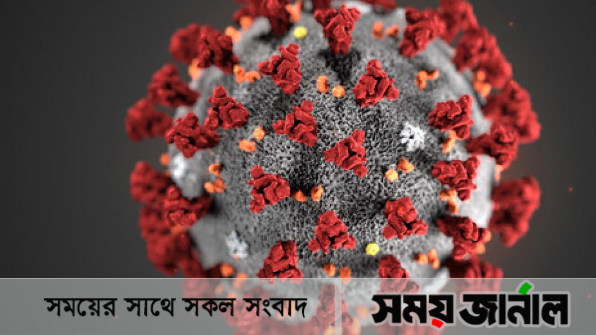 একদিনে মৃত্যু  ৮শ , শনাক্ত  ৪ লাখ