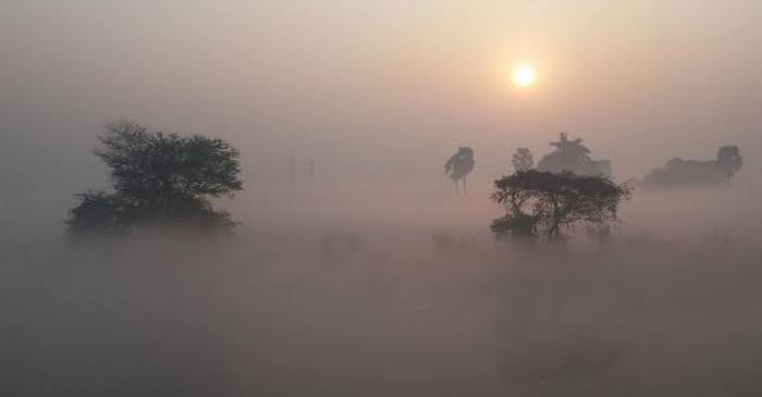 বাড়বে দিনের তাপমাত্রা