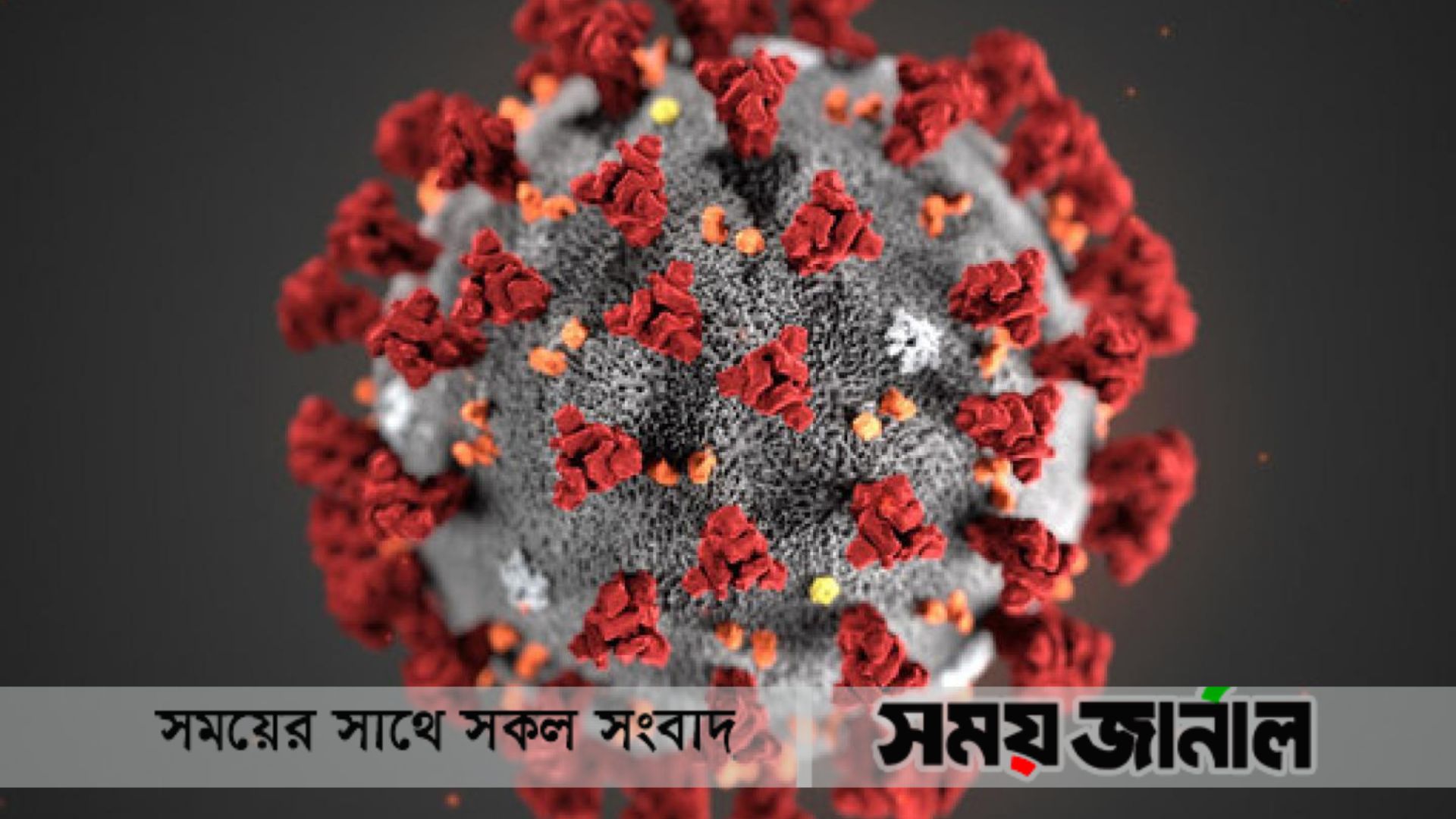 করোনায় ৯ শতাধিক মৃত্যু, শনাক্ত ৪ লাখের কম