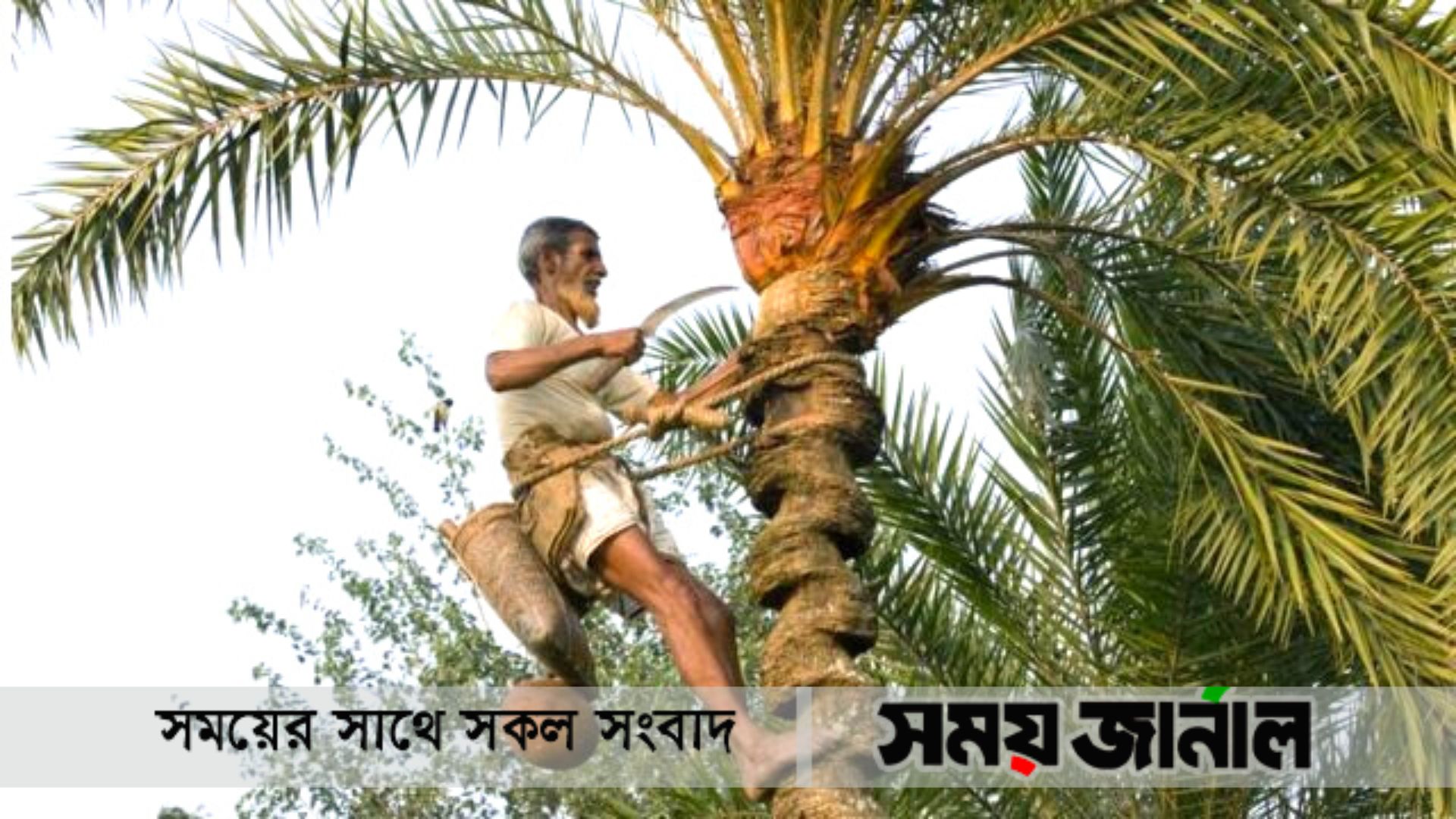 খেজুরের রস পানে সতর্কতার পরামর্শ,নিপাহ ভাইরাসে এক নারীর মৃত্যু
