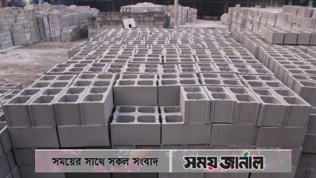 পরিবেশ বান্ধব ইট: দরকার হয় না প্লাস্টারের, বাড়ছে চাহিদা