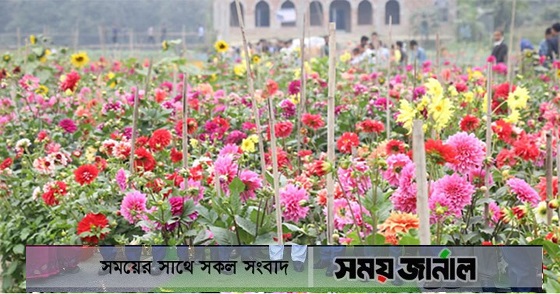 সামনে তিনদিবস: এবার ভালো ব্যবসার আশা সাবদির ফুল চাষিদের