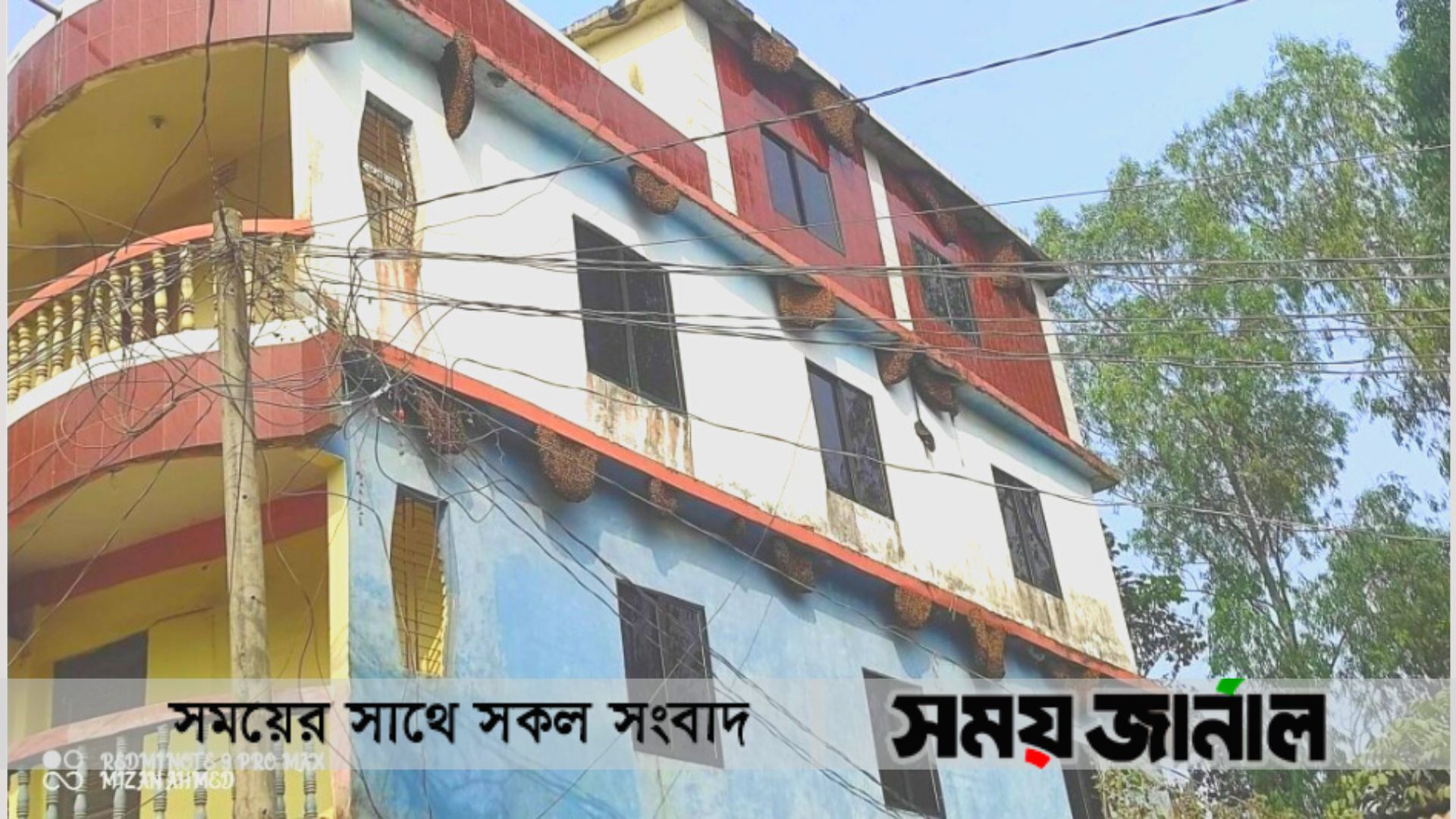 ধামরাই উপজলোর এক ভবনইে ২২টি মৌচাক