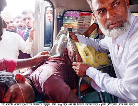 মোরেলগঞ্জে বাঘের আক্রমনে জেলে শিকারী গুরুতর আহত