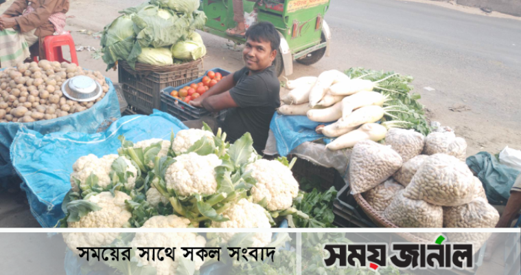 নরসিংদীতে শীতকালীন সবজি চাষে পুরোদমে ব্যস্ত কৃষকরা