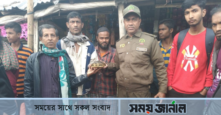 বাগেরহাটে সুন্ধী প্রজাতির কচ্ছপ উদ্ধার: সুন্দরবনে অবমুক্ত