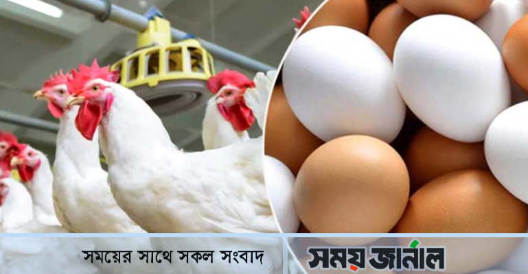 অস্থির মুরগির বাজার, স্বস্তি নেই ডিমের দামেও