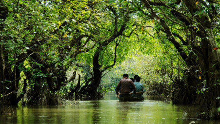সুন্দরবনে আগের থেকে পর্যটক বেড়েছে
