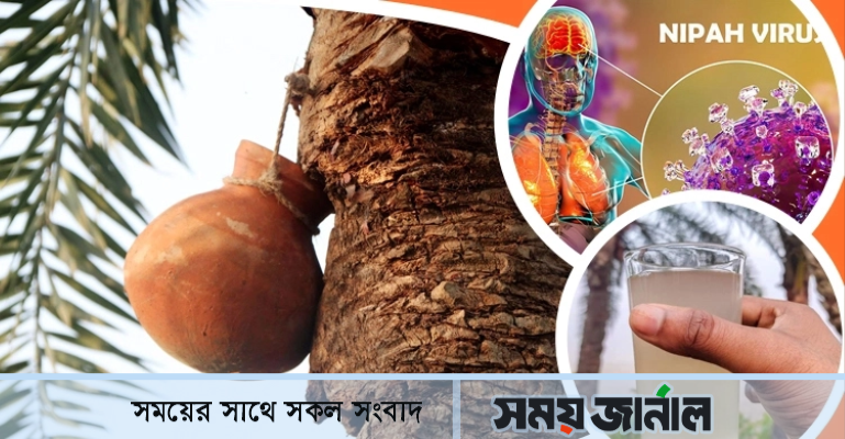 নিপাহ ভাইরাসে ১০ আক্রান্তের মধ্যে ৭ জনেরই মৃত্যু