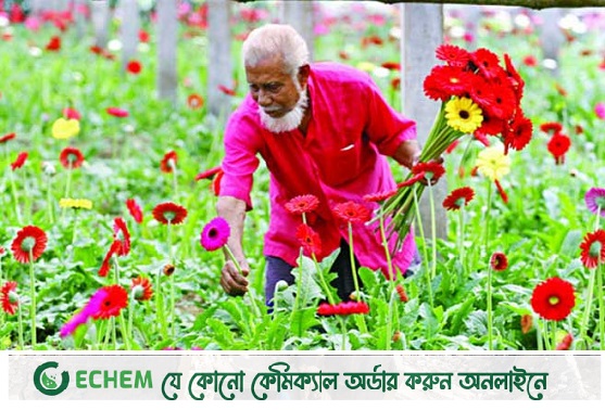শ্রদ্ধা-ভালোবাসা-আনন্দ: সকল কিছুর প্রকাশ অসম্পূর্ণ ফুল ছাড়া