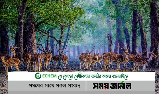 সুন্দরবনে বেপরোয়া হরিণ শিকারীরা