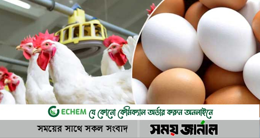 দফায় দফায় বাড়ছে ব্রয়লার মুরগি ও ডিমের দাম