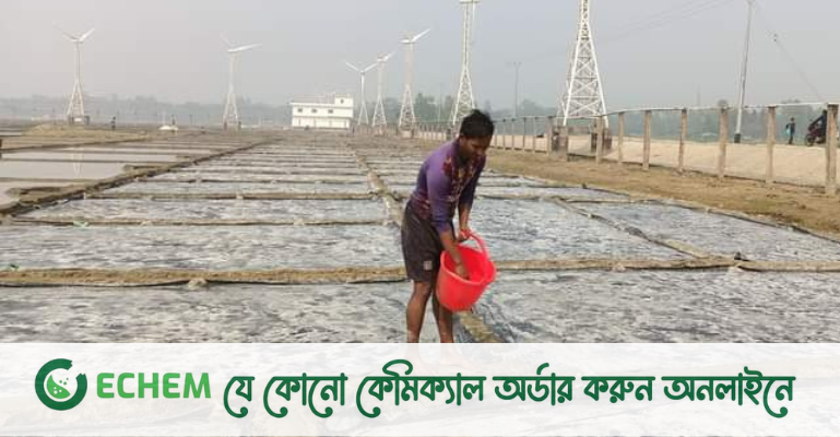 অস্বাভাবিকভাবে উৎপাদিত লবণের দরপতন