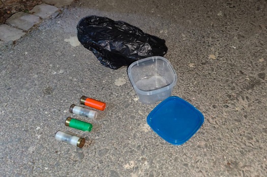 খামারের পিছনে মিলল শর্টগানের কার্তুজ