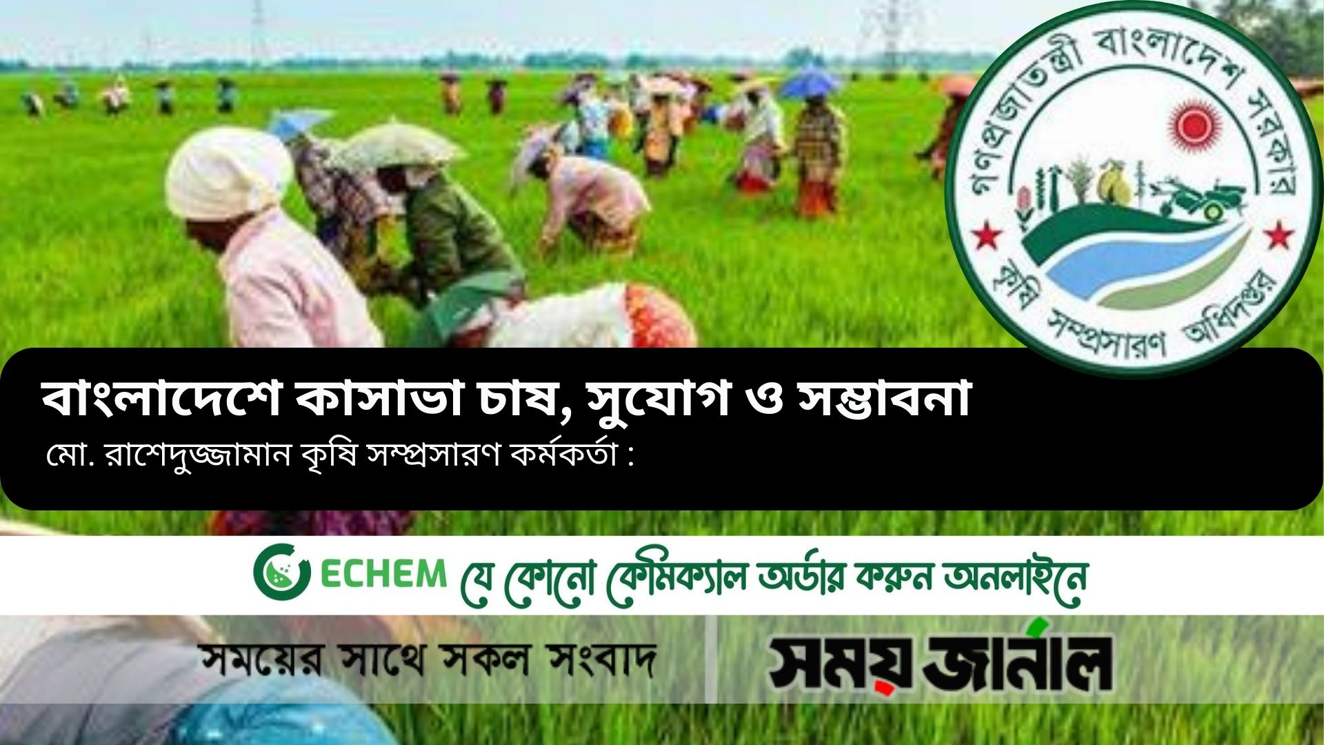 বাংলাদেশে কাসাভা চাষ, সুযোগ ও সম্ভাবনা