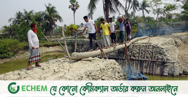মোরেলগঞ্জে পাঁচ বছর ধরে সরকারি রাস্তা কেটে ঘেরে পানি তুলছে প্রভাবশালী
