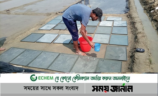 পরিবেশ বাঁচিয়ে পলিথিনের বিকল্প ‘প্লাস্টিক ট্রে’ দিয়ে লবণ উৎপাদন