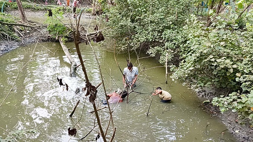 মামলা তুলে নিতে বাদীকে হুমকি, ব্যার্থ হয়ে মাছের ঘেরে বিষ দেয়ার অভিযোগ