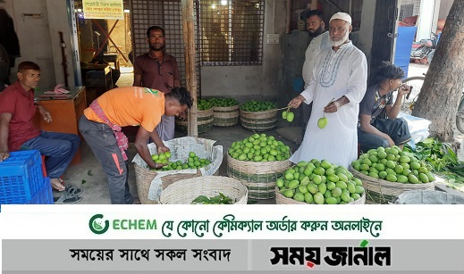 আগাম ফলন হওয়া সাতক্ষীরার টক আম যাচ্ছে বিভিন্ন প্রান্তে