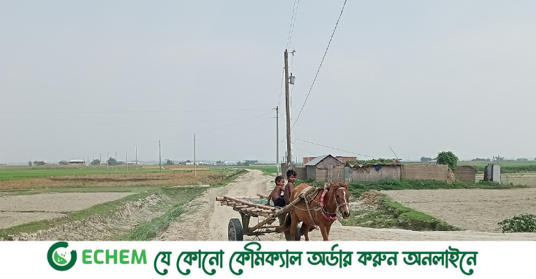 পল্লী বিদ্যুতের আলোয় আলোকিত দূর্গম চরাঞ্চলের জনজীবন