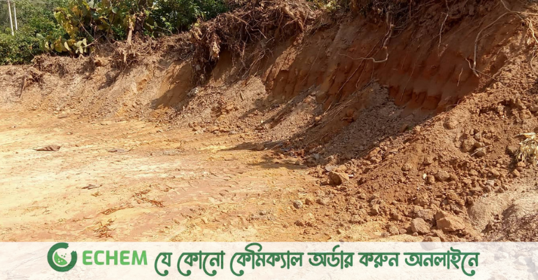 অবৈধ বালু বাণিজ্যে ’ঘুষ দ্বন্দ্ব’: চকরিয়ায় বনকর্মী-বালু ব্যবসায়ীর হাতাহাতি