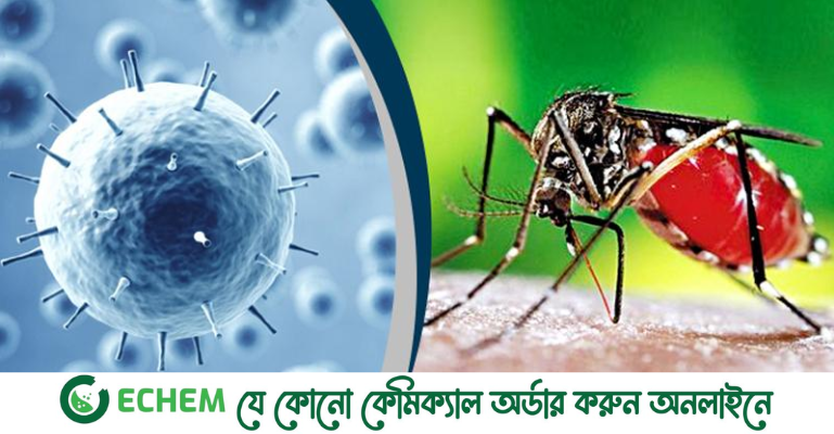 স্বস্তিদায়ক অবস্থায় করোনা ও ডেঙ্গু