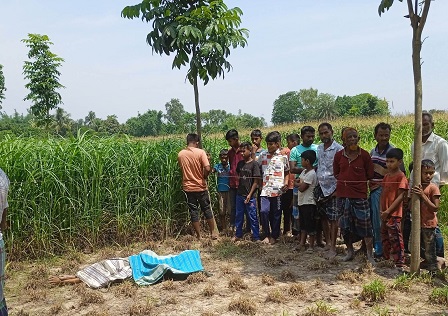 দিনাজপুরের বিরামপুরে ঘাস ক্ষেত থেকে বৃদ্ধার মরদেহ উদ্ধার
