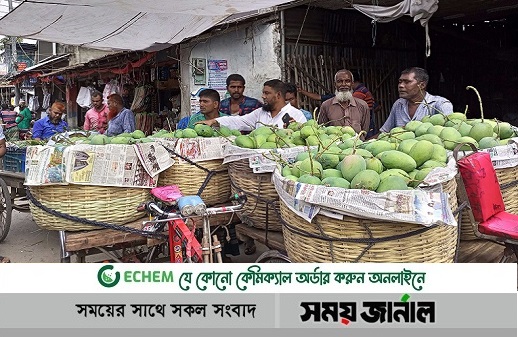 প্রথম ধাপে বাজারে সাতক্ষীরার গোবিন্দভোগ, গোপালভোগ আম