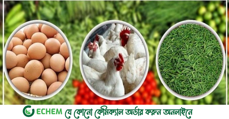 ২০০ টাকা ছাড়াল কাঁচা মরিচ, ডিমের ডজন ১৫০