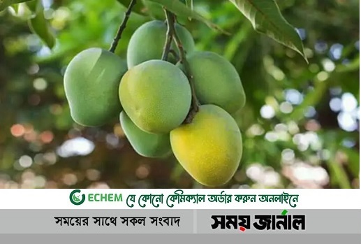 এবার  রফতানির লক্ষ্য ১০০ কোটি টাকার আম