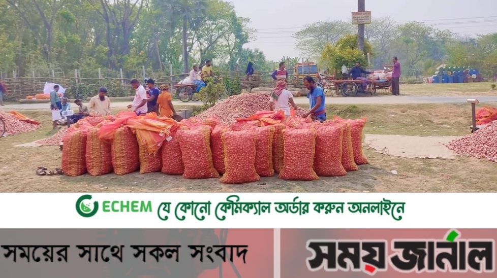 ফরিদপুরে কমতে শুরু করেছে পেঁয়াজের দর