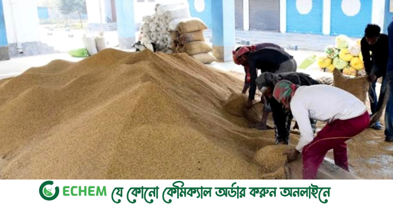 গোপালগঞ্জে ধানের বাম্পার ফলন