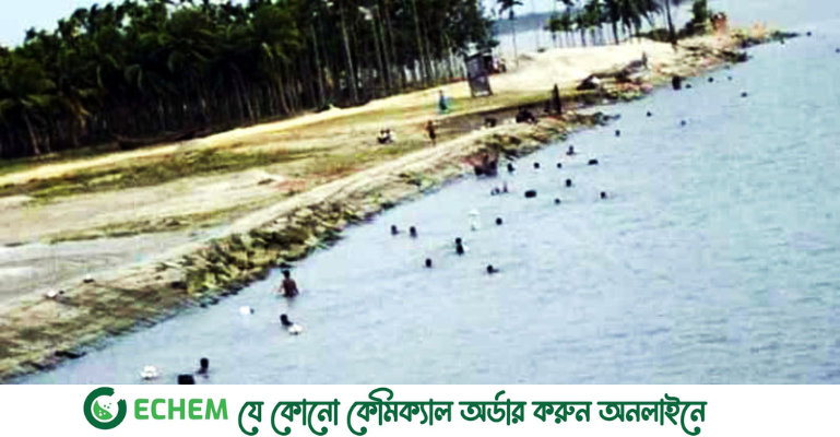 মেঘনায় অবাধে চিংড়ির রেণু ধরার মহোৎসব!