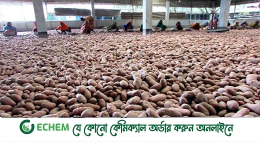 হিমাগার থেকে আলু বের না করায় বাড়ছে দাম