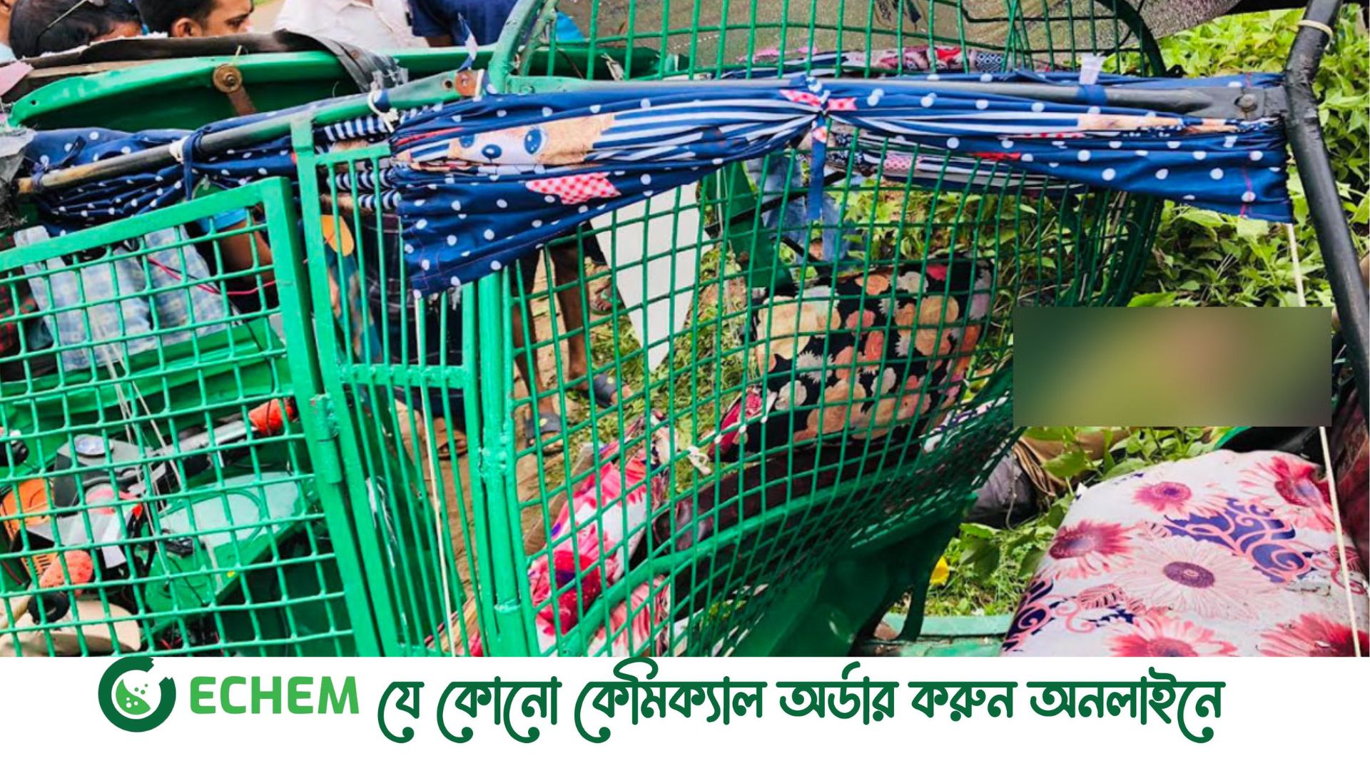 গাজীপুরে ট্রাক-অটোরিকশা সংঘর্ষে নিহত ২