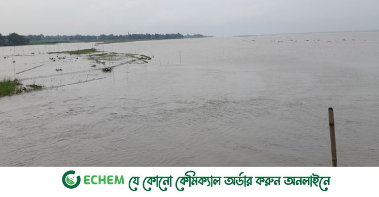 বাড়ছে পদ্মাসহ উত্তর-পূর্বাঞ্চলীয় নদ-নদীর পানি