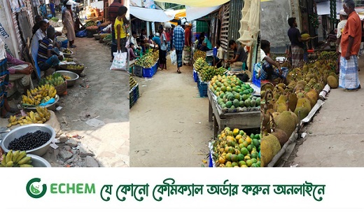 মধুময় ফলের বাজার: পাইকারি ও খুচরা বাজারে দামে বিস্তার ফারাক