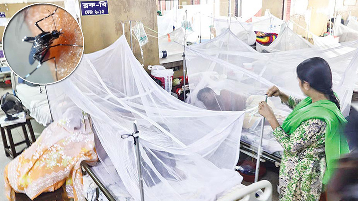 ডেঙ্গুতে ৪ জনের মৃত্যু, হাসপাতালে ৪৭৭ জন