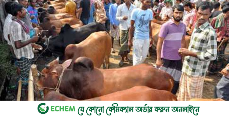 রাজধানীর যেসব স্থানে কোরবানির পশুর হাট বসবে